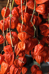 Image showing exotic fruits 