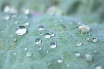 Image showing water drops 