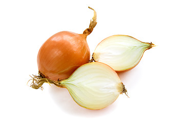 Image showing onion