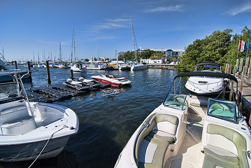 Image showing Park in Miami, Florida