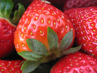 Image showing Strawberries