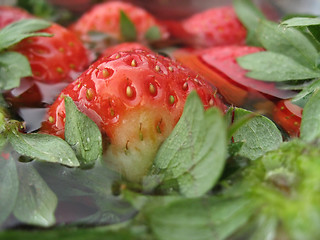 Image showing Strawberries