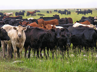 Image showing Jackson Hole, Wyoming