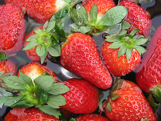 Image showing Strawberries