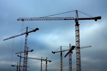 Image showing Cranes