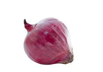 Image showing Onion