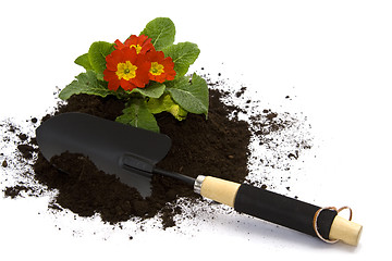 Image showing Springtime gardening