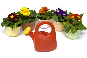 Image showing Springtime gardening