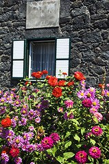 Image showing Bunch of flowers 