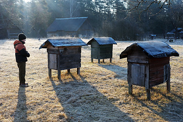 Image showing Country apiary in early spring