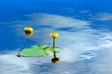 Image showing Reflection of clouds