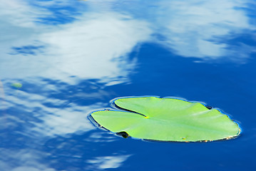 Image showing Reflection of clouds