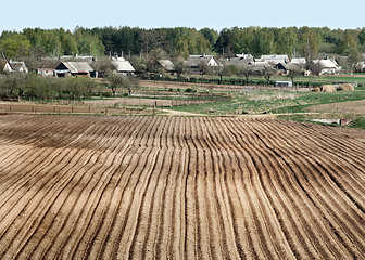 Image showing Rural landscape