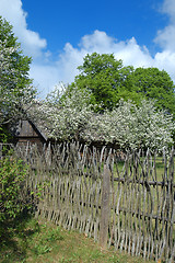 Image showing Village Spring