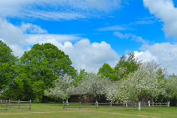 Image showing Village Spring