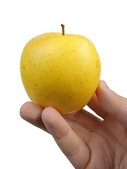 Image showing Yellow apple in the hand
