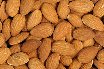 Image showing Almonds