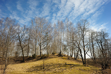 Image showing Landscape in March