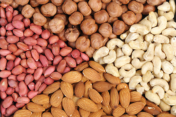 Image showing Set of nuts