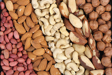 Image showing Set of nuts