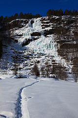 Image showing Frozen Waterfall