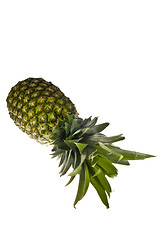 Image showing Pineapple