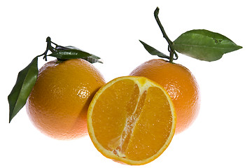 Image showing Oranges