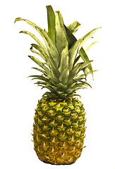 Image showing Pineapple