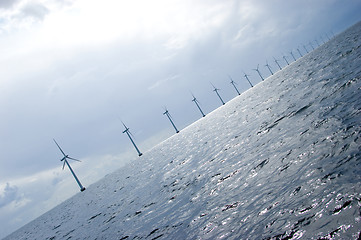 Image showing Diagonal shot of windmill turbines in a row