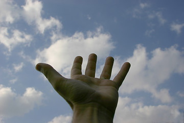 Image showing Hand Reaching