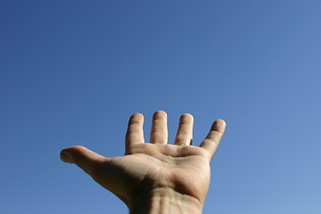Image showing Hand reaching