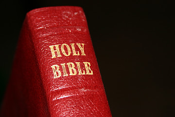 Image showing Holy Bible