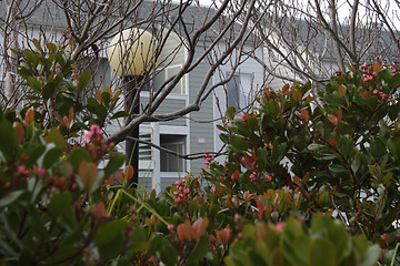 Image showing Lamp among naked trees