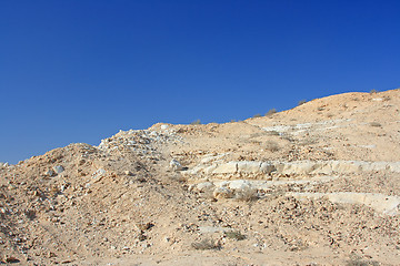 Image showing Camels in the desert