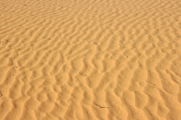 Image showing The spring in the desert