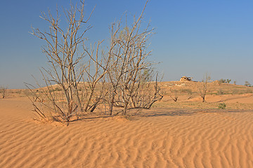 Image showing The spring in the desert