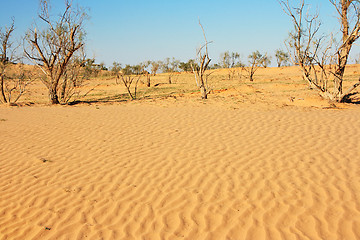 Image showing The spring in the desert