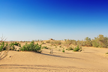 Image showing The spring in the desert