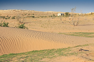 Image showing The spring in the desert