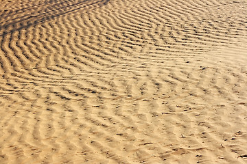 Image showing The spring in the desert