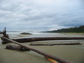 Image showing Long Beach