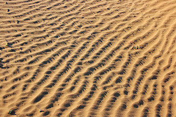 Image showing The spring in the desert