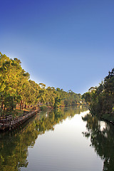 Image showing Summer landscape