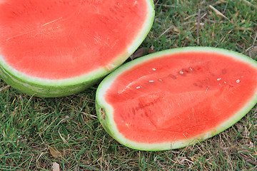 Image showing The picnic. Cutting a watermelon