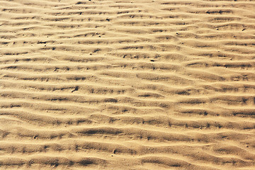 Image showing The spring in the desert