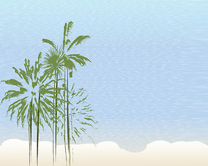 Image showing palm trees