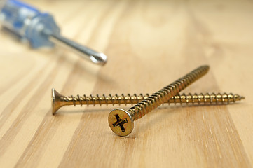 Image showing Screws and screwdriver