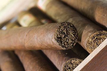 Image showing quality hand made cigars from Nicaragua