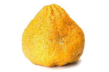 Image showing ugli fruit