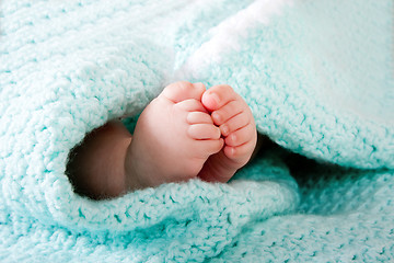 Image showing Baby feet in blanket